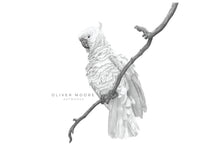 Load image into Gallery viewer, Oliver Moore Art