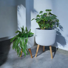 Load image into Gallery viewer, FIXIE - Planter Pot Small