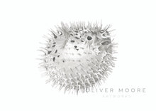 Load image into Gallery viewer, Oliver Moore Art