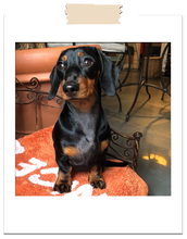 Load image into Gallery viewer, Mutts of Manly Tote Purple Carmine