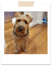 Load image into Gallery viewer, Mutts of Manly Tote Blue Faith