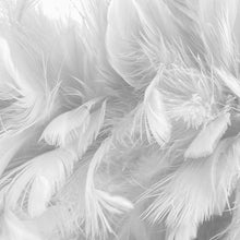 Load image into Gallery viewer, Shell Horizon Cushion Ivory 30x50 Feather Insert