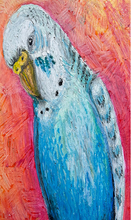 Load image into Gallery viewer, Budgie Scarf 200x70
