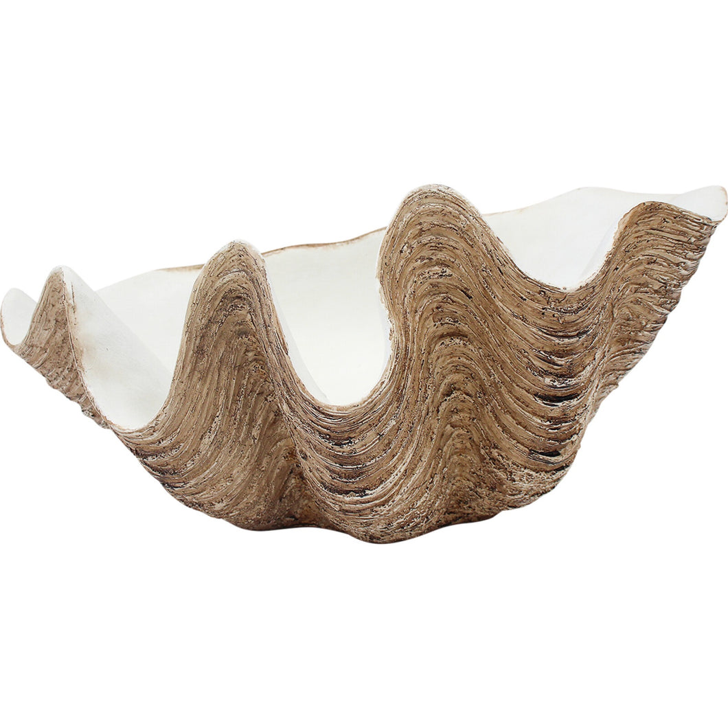 Clam Shell Large Natural 38cm