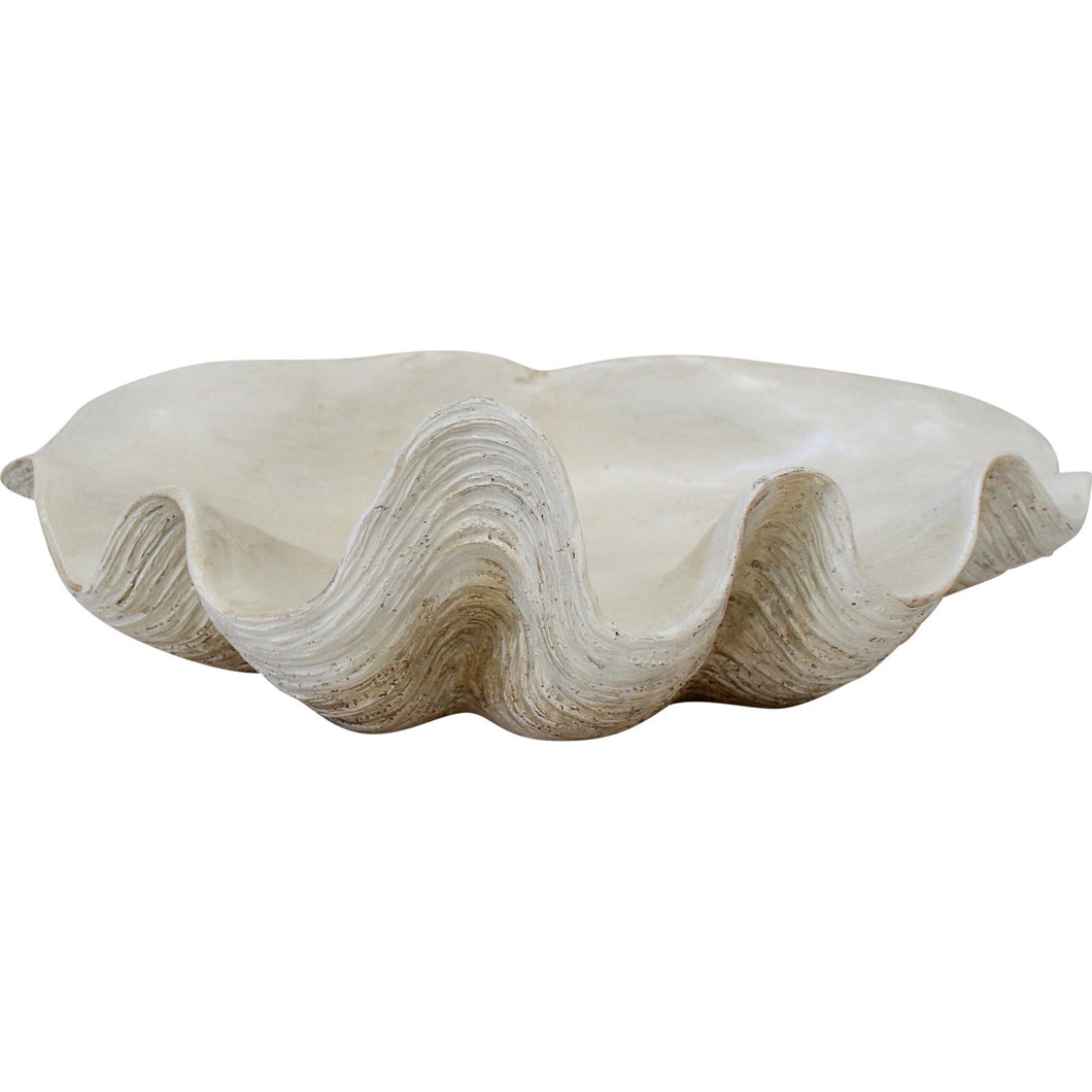 Clam Shell White 29cm