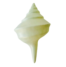Load image into Gallery viewer, Conch Shell Wall Decor/Light
