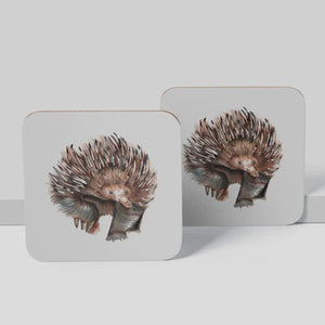 Echidna Coaster