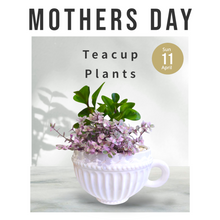 Load image into Gallery viewer, Teacup potted Plant
