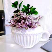 Load image into Gallery viewer, Teacup potted Plant
