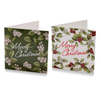 Noelle Christmas Card S8 xm23907