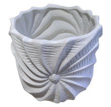 Load image into Gallery viewer, Planter Shell Twist XL
