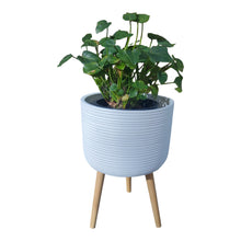 Load image into Gallery viewer, FIXIE - Planter Pot Medium
