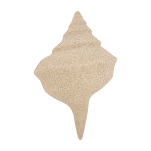 Conch Wall Piece - Sand