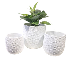 Primrose Planter Pot White