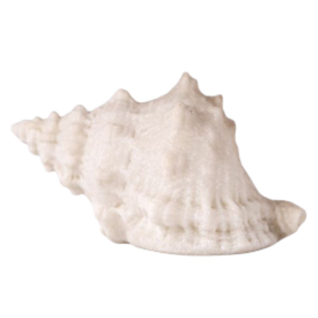 Conch Shell Deco Light
