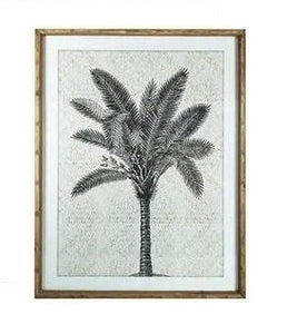 Alexander Palm Print 60x80