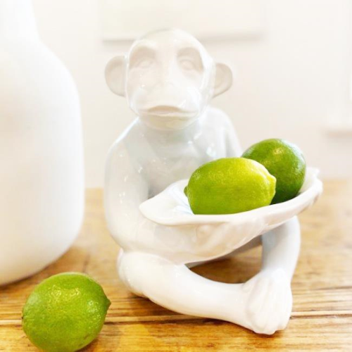 Marvin the Cool Monkey