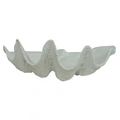 Clam shell White 51.5cmL