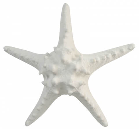 White Poly Starfish 15cm