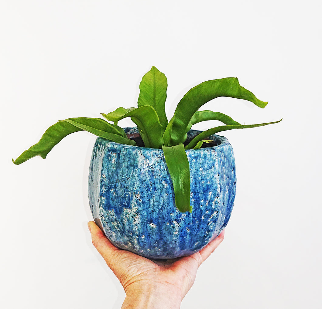 Kitte Ceramic Pot Lge Blue