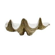 Clam Shell Natural Large 52cm