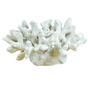 Coral Decor White 46x39x27cm