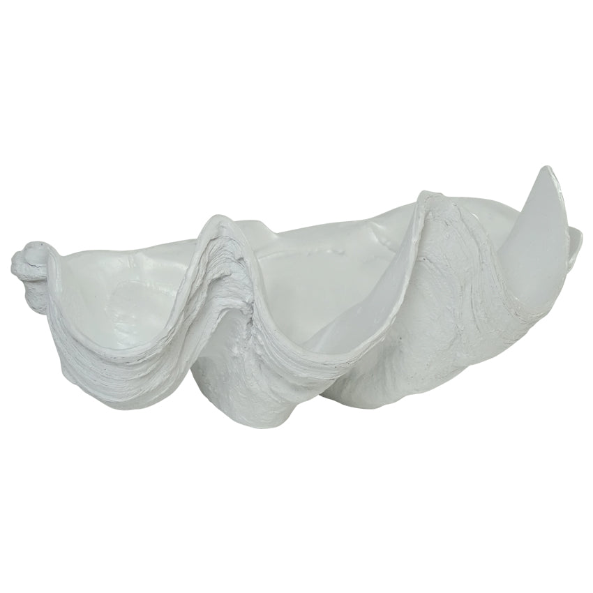 Clam Shell White 40cm