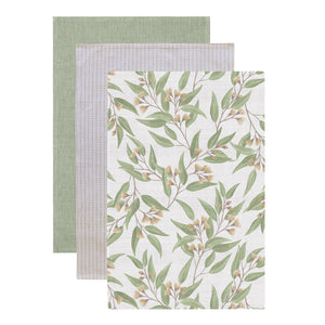 Flowering Gum Teatowel p/3