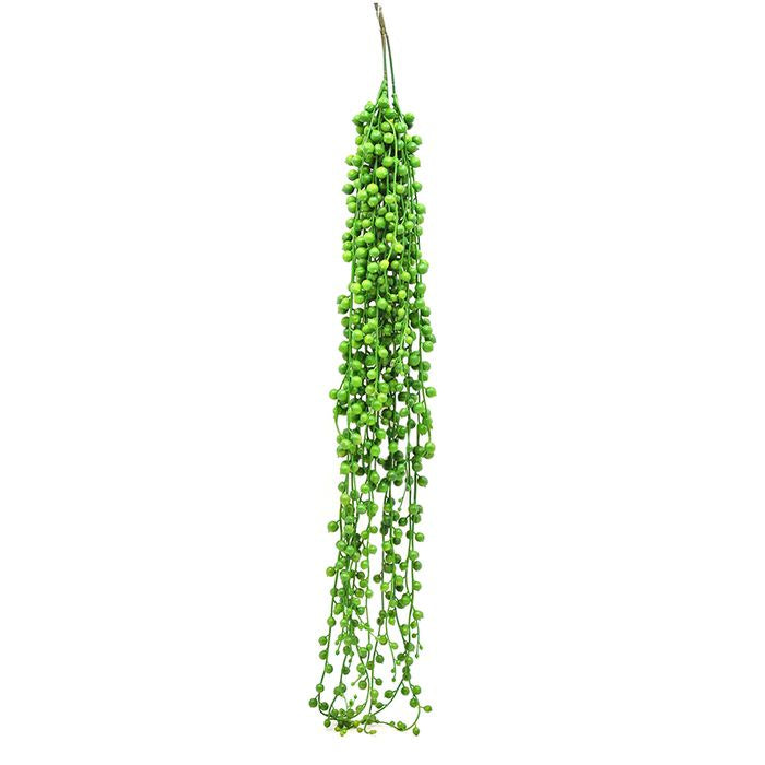 ragworts succulent FAUX Hanging Ragworts Succulent Spray