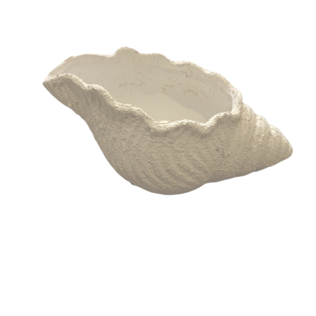 Shell ceramic Planter