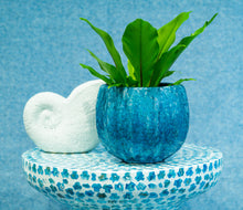 Load image into Gallery viewer, Kitte Ceramic Pot Sml Blue
