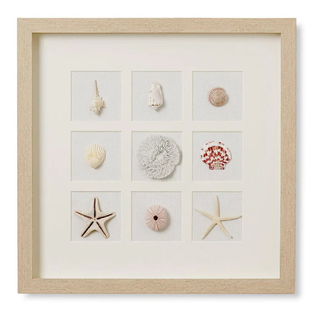 Sea Collective Art 50x50