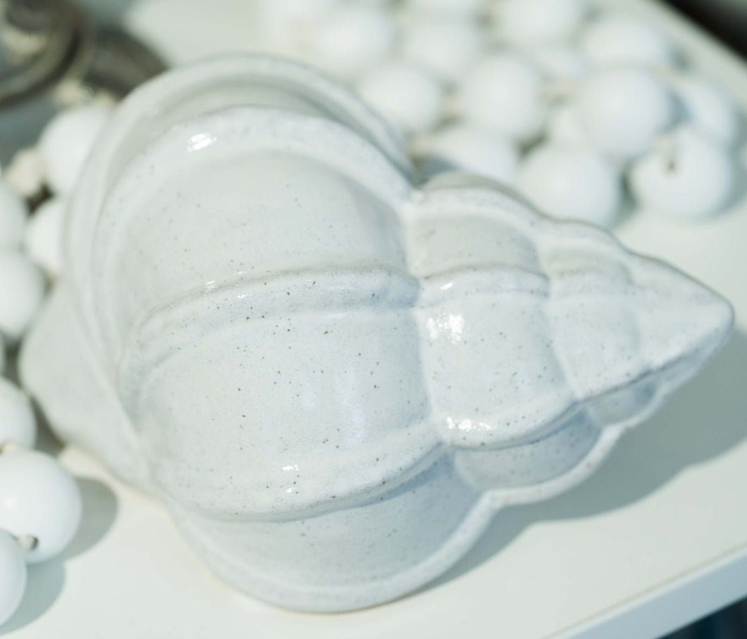 Shell Decor 18c x 11cm