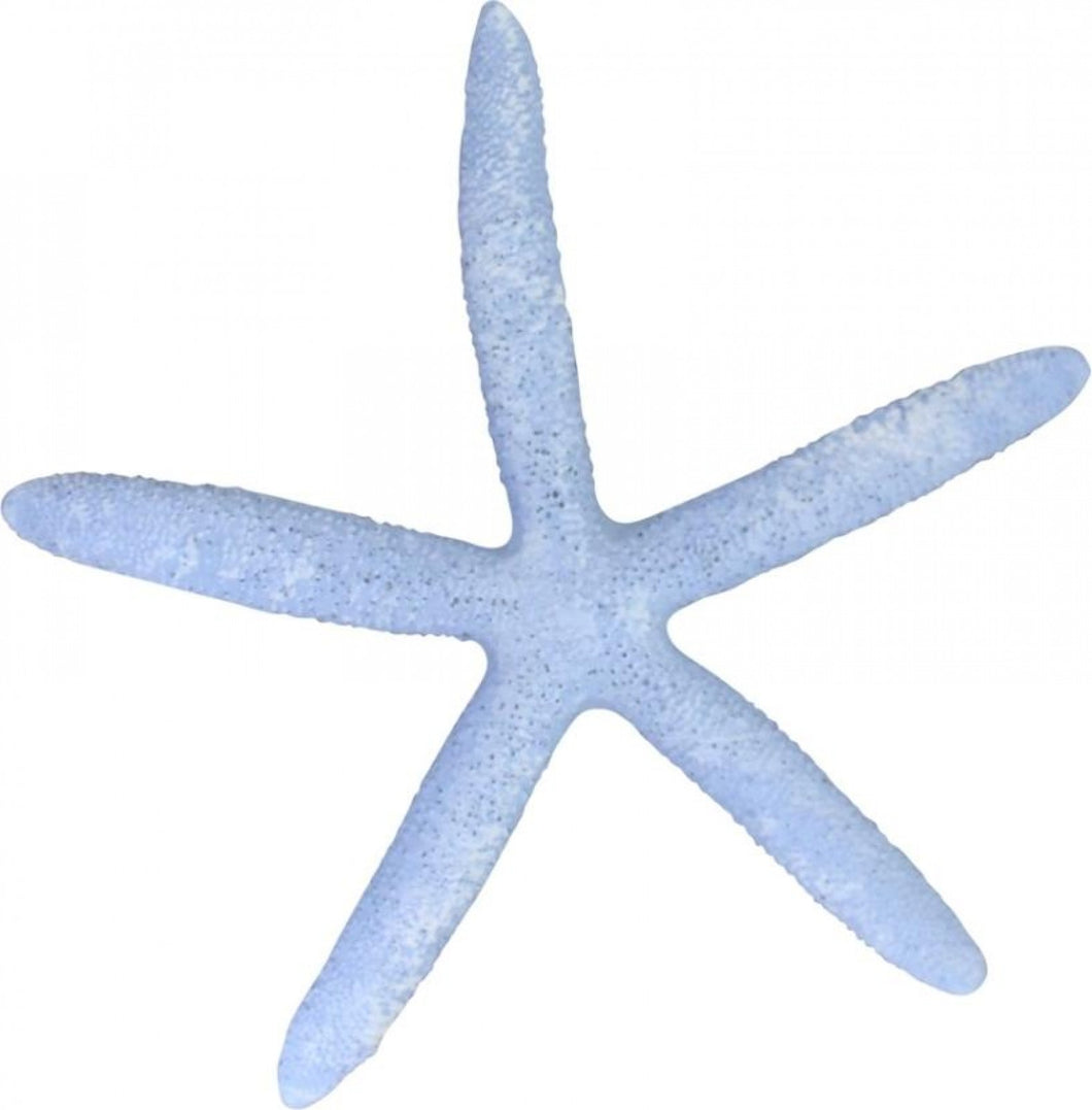 Starfish Blue
