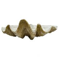 Clam Shell Natural XL 69cm