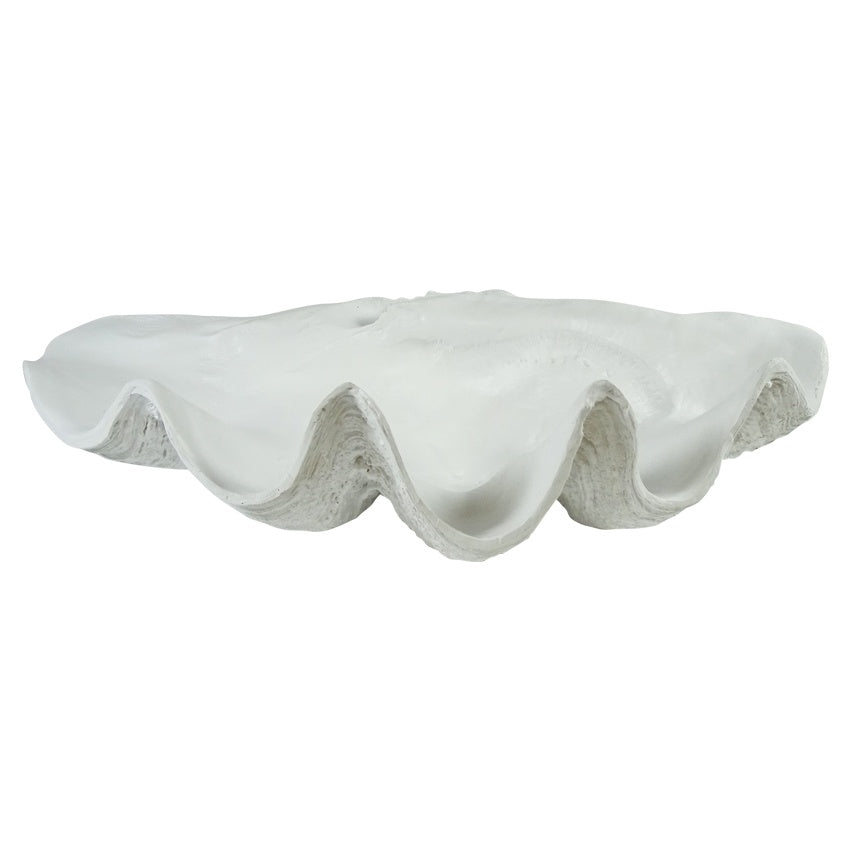 Shell Clam 58cm White LARGE